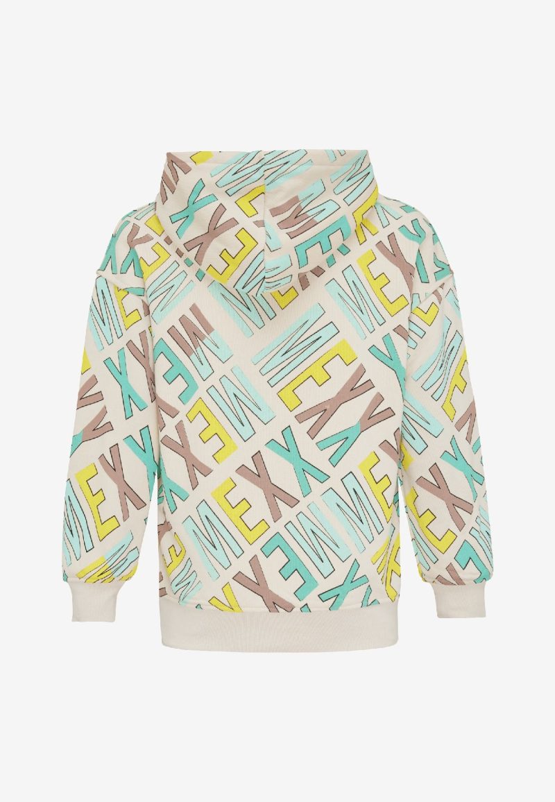 Hooded sweater with artwork